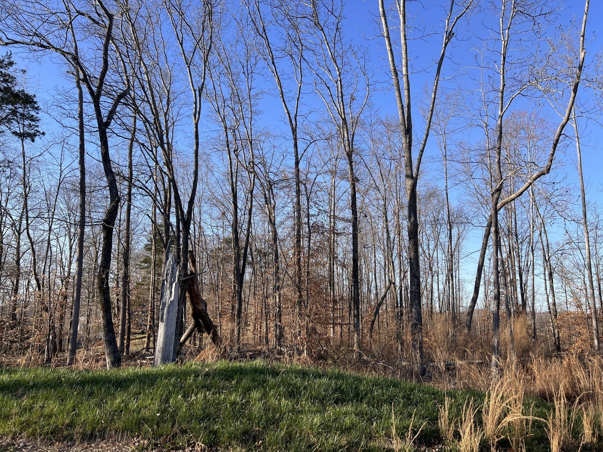 1 Water Ridge Dr