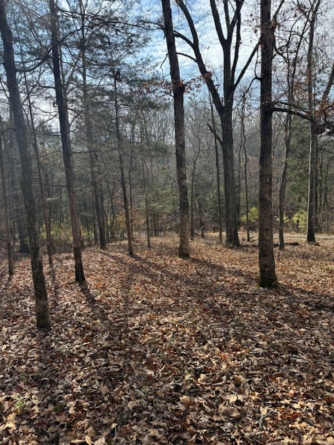 527 Hickory Ridge Rd