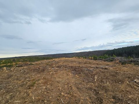 0B Waynesboro HWY Waynesboro TN 38485