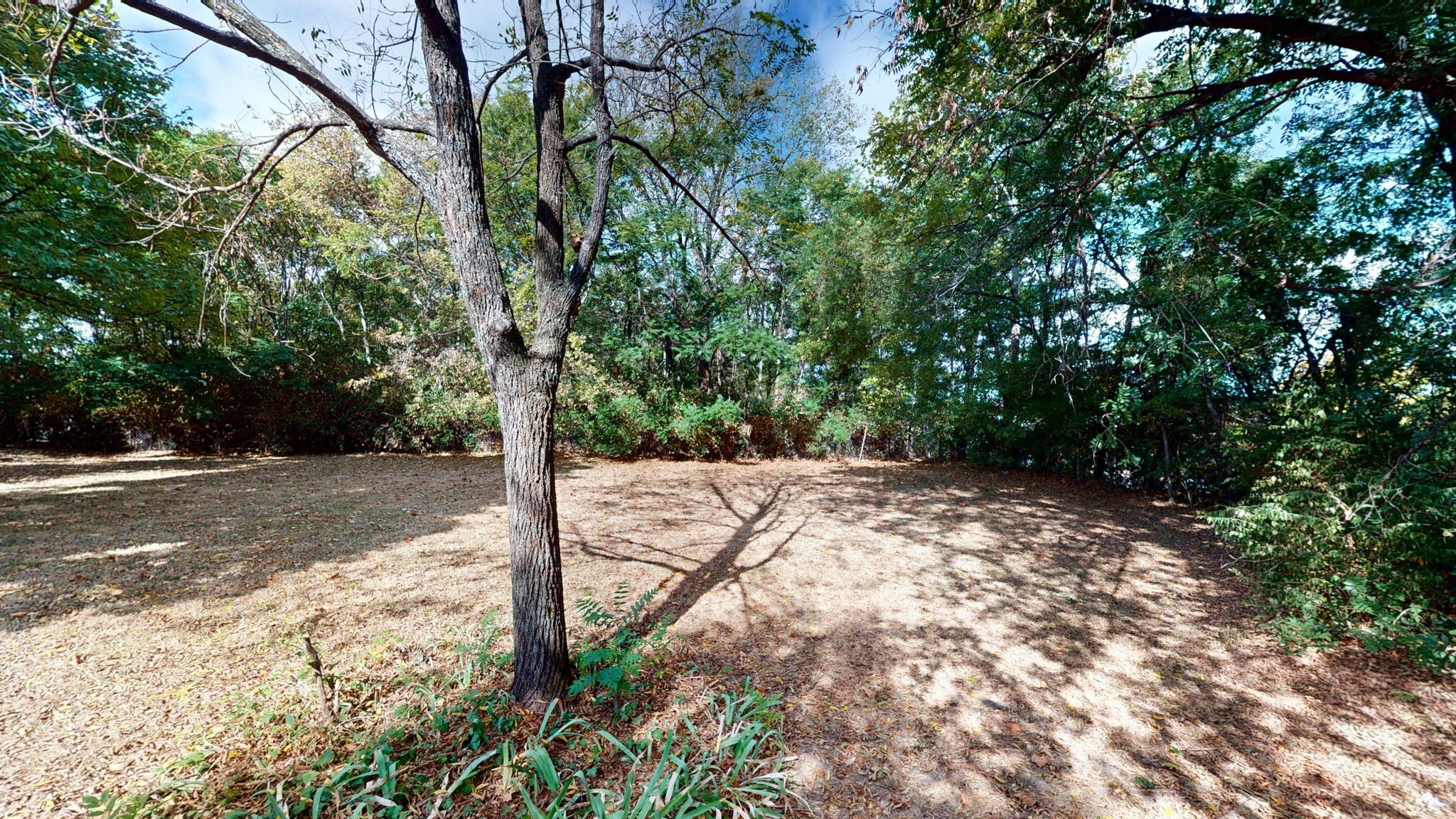 2409 Shumate Ln