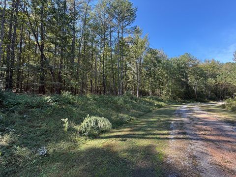 233 Zara Spook Dr Cedar Grove TN 38321