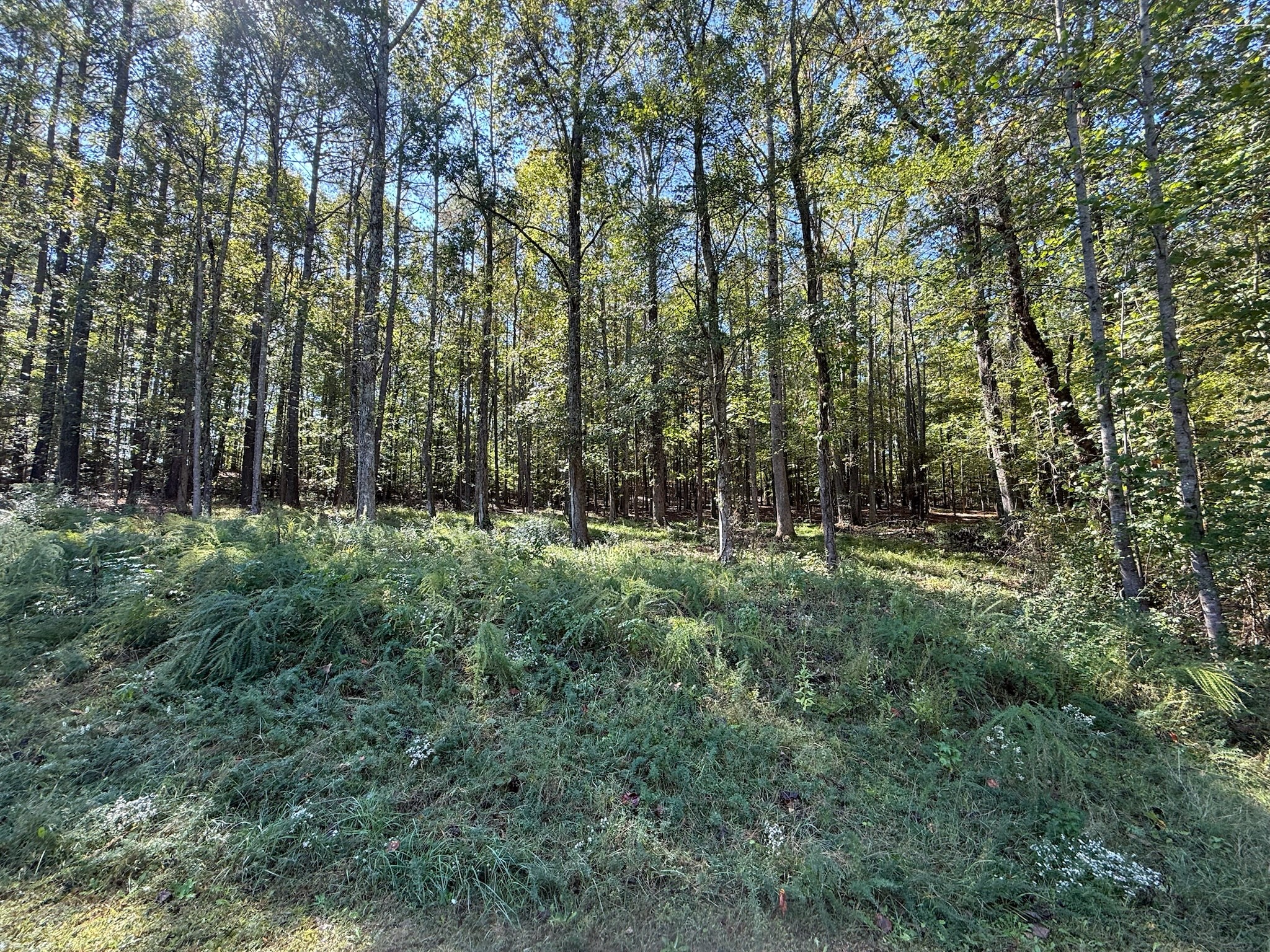233 Zara Spook Dr
