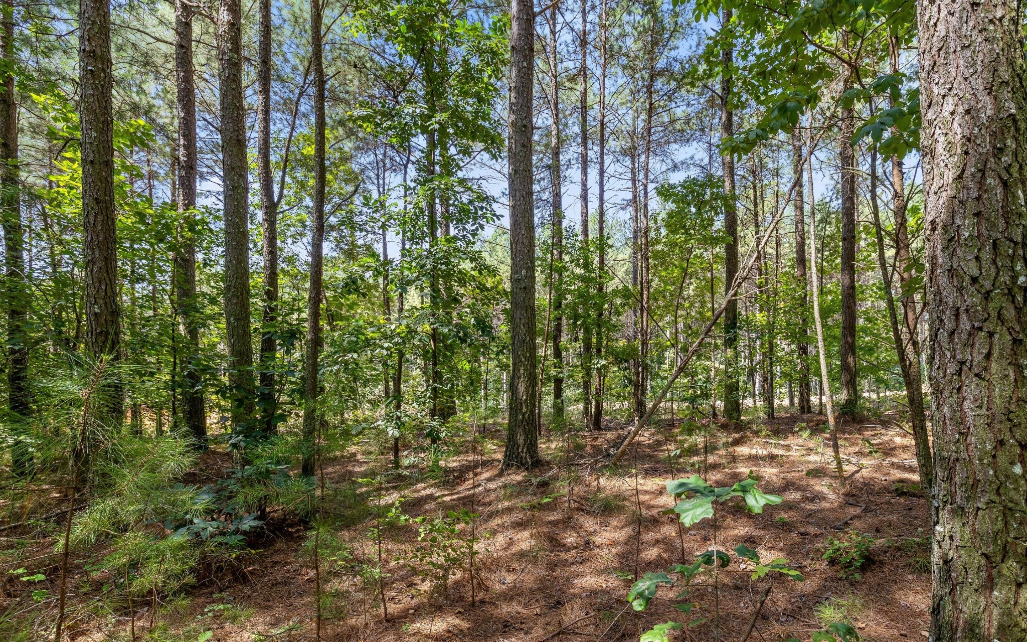 2225 High Ground Road