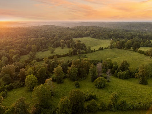 SHILOH CANAAN RD, PALMYRA, TN 37142 - Image 8d2eaa81d869ff076aa4741f46b231e0/4148459143