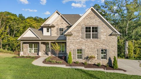 4019 Mandrake Pl #152 Lebanon TN 37087