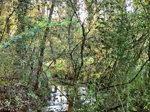 502 Case Rd Prospect TN 38477