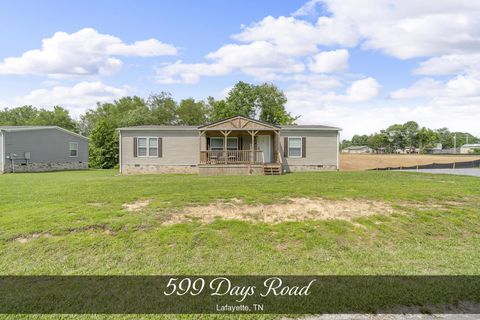 599 Days Rd Lafayette TN 37083