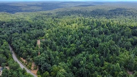 0 Buckfork Road Linden TN 37096