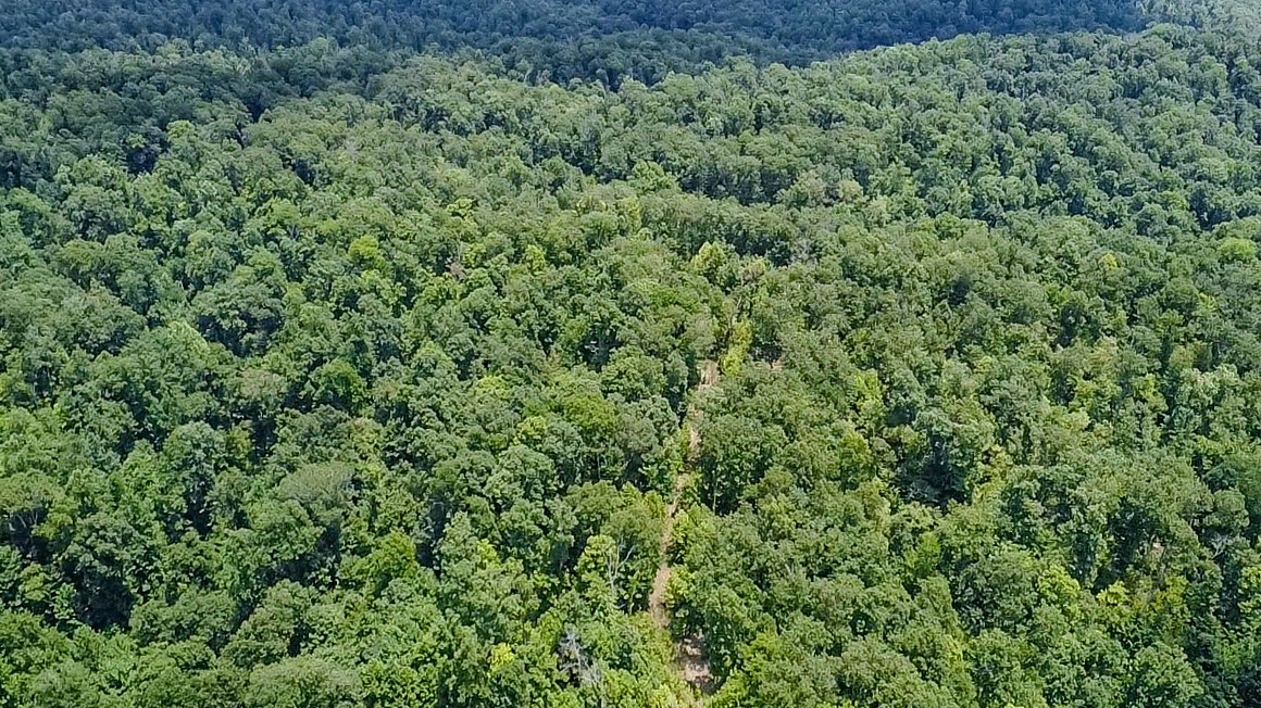 0 Buckfork Road