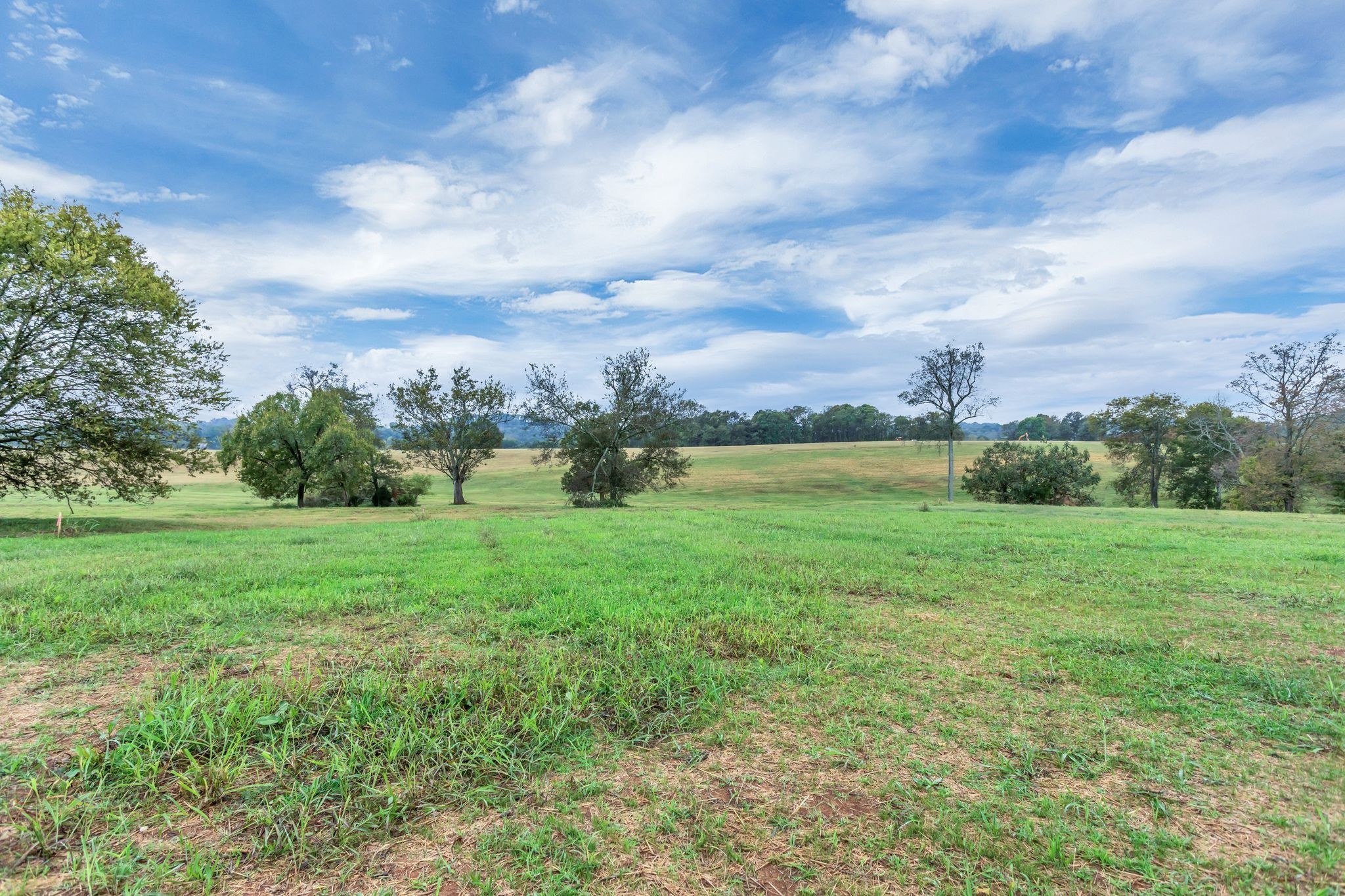 1629 John Sharp Rd