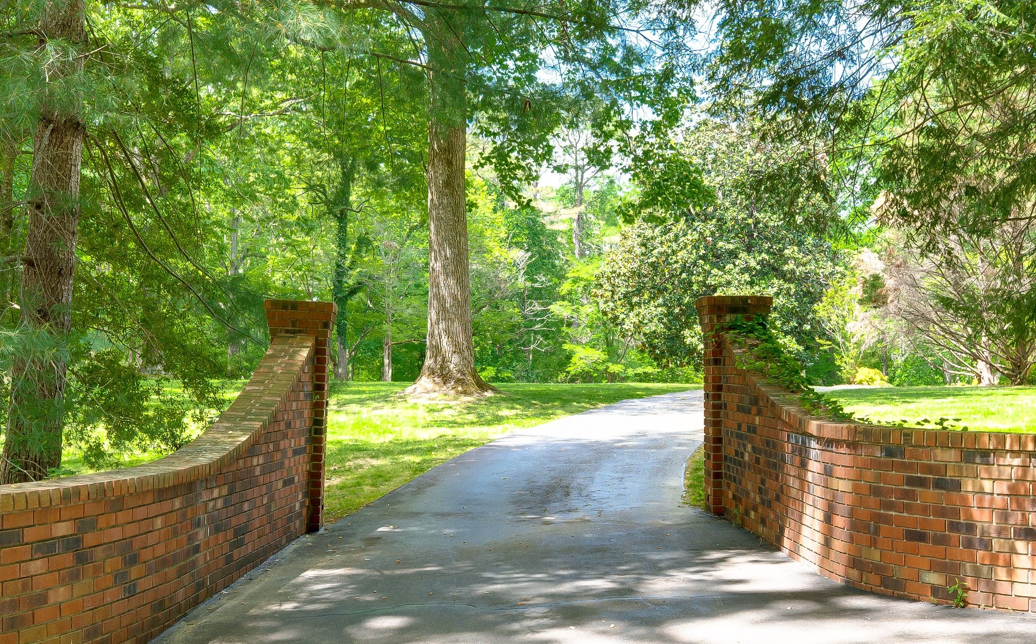 414 Bellwood Dr