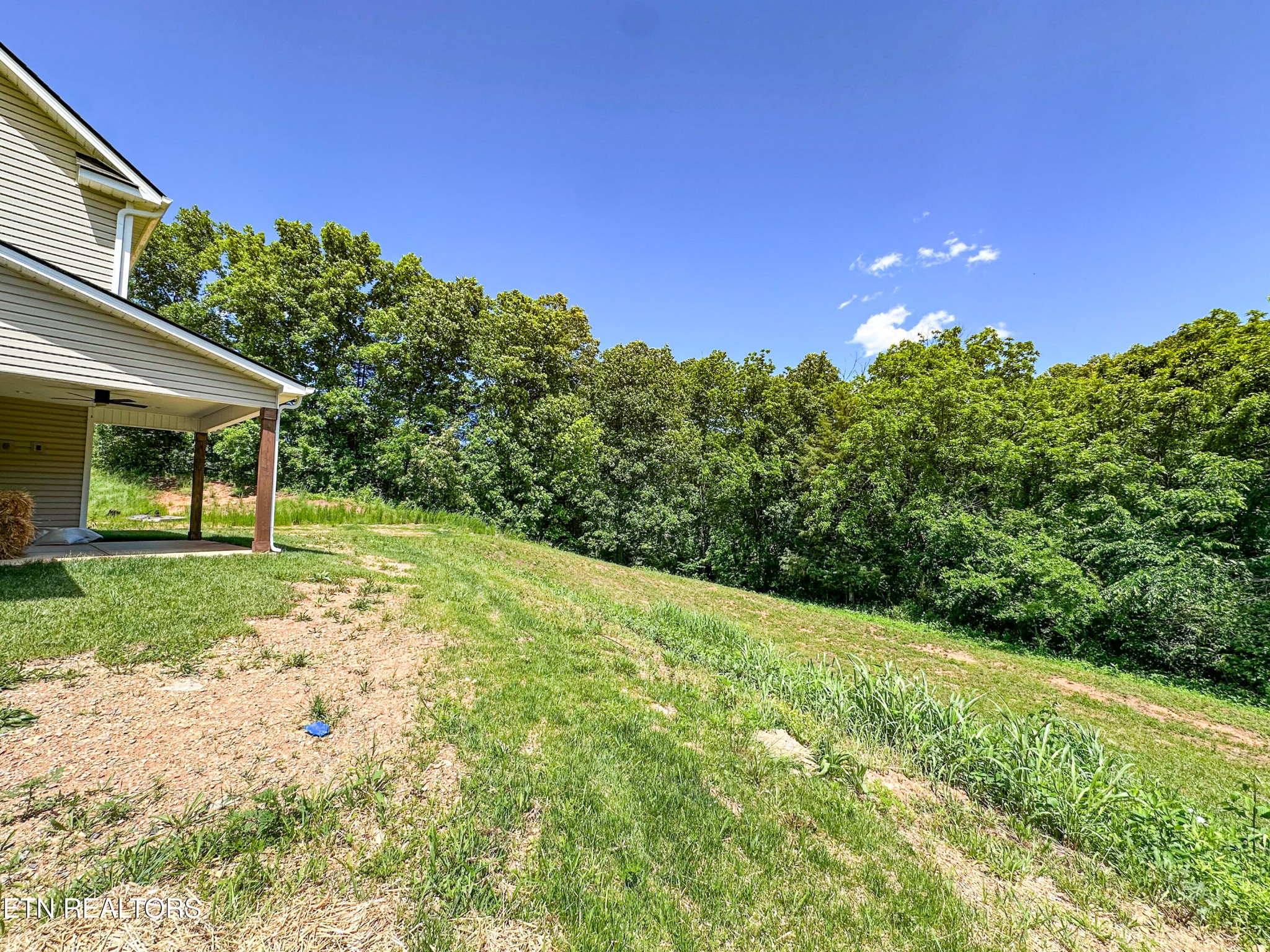12608 Izzy Mule Lane
