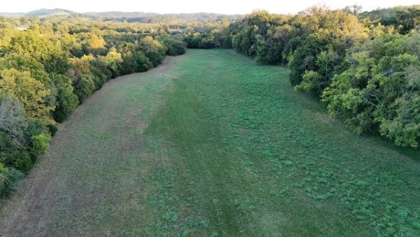 0 Palmore Hollow Lane