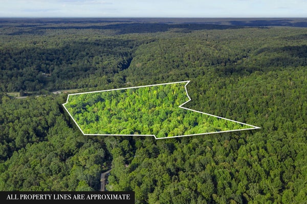 107 POSSUM TROT LN, LINDEN, TN 37096 - Image 8db45daeabd17b068e607eb458f1bddc/28919099
