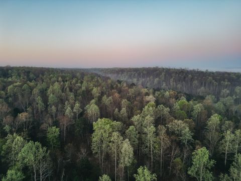 0 Pinewood Rd Nunnelly TN 37137