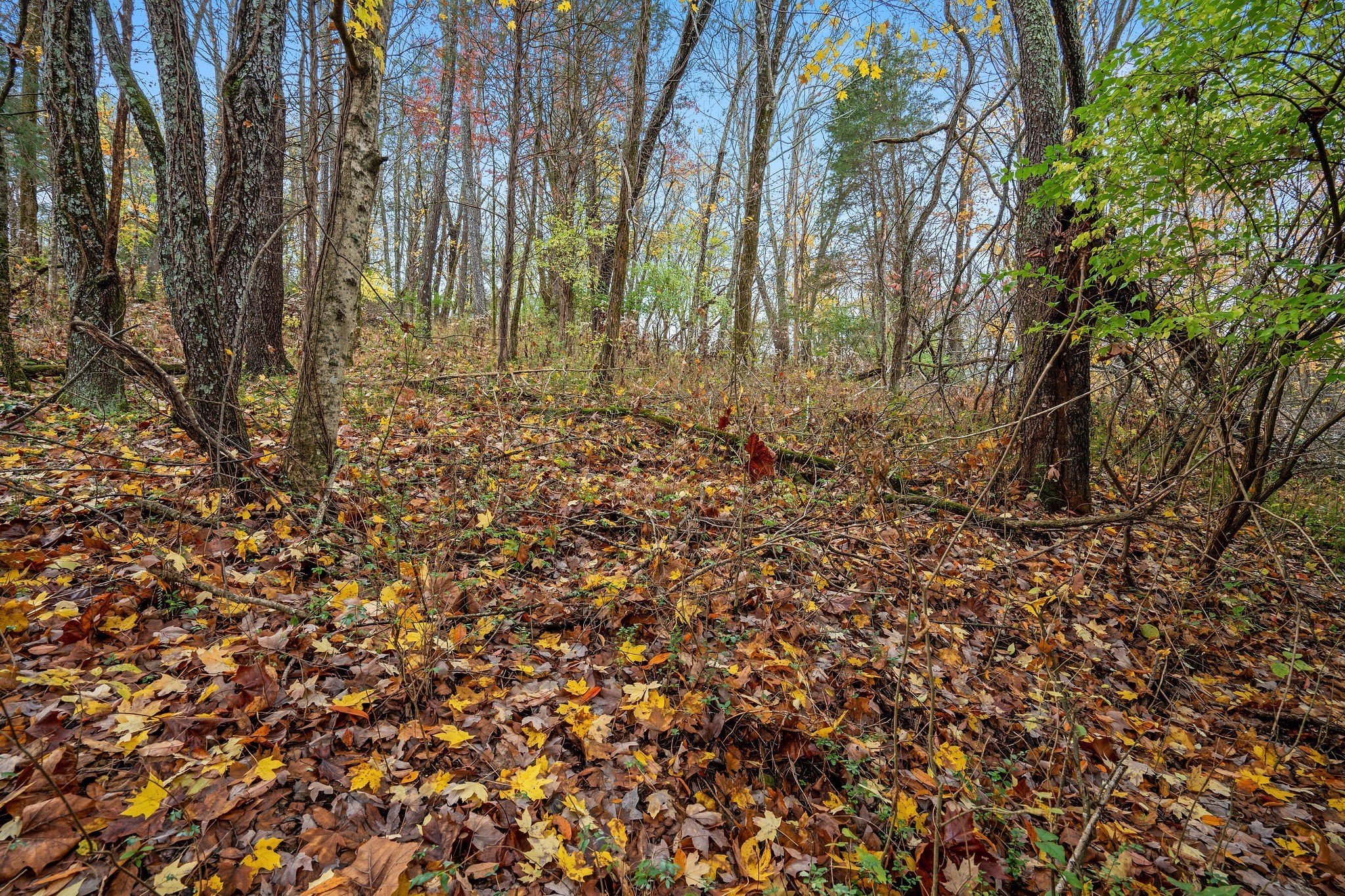 4087 Murfreesboro Rd W