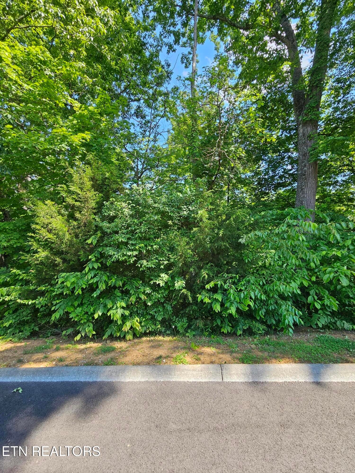15 Saddleback Way