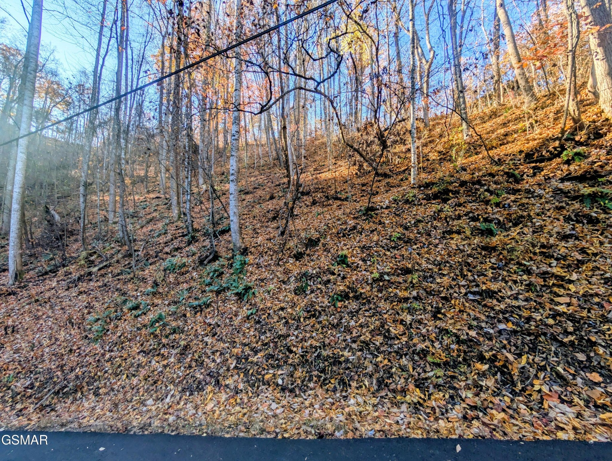 339 Ridgefield Drive