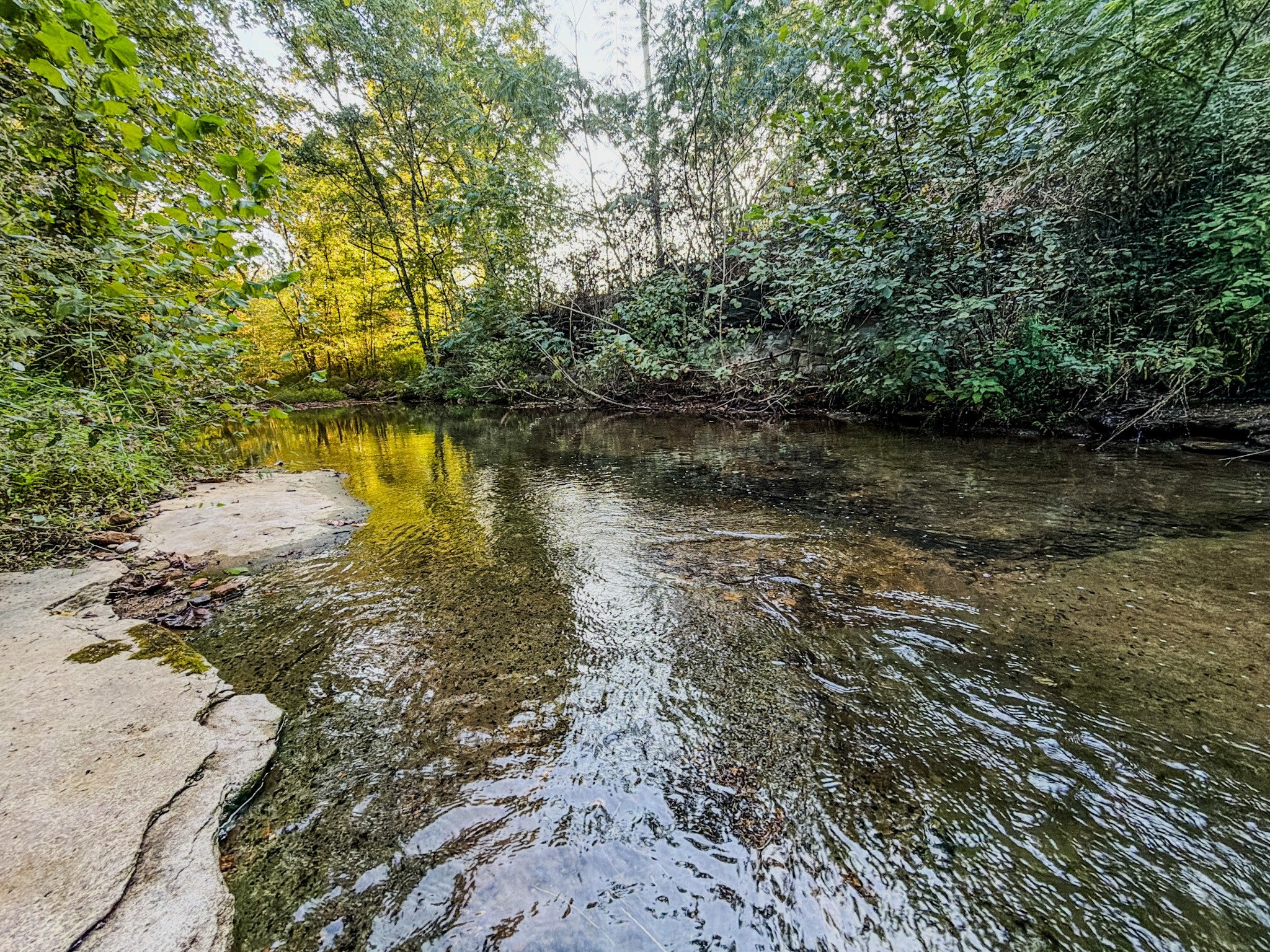 360 Long Branch Rd