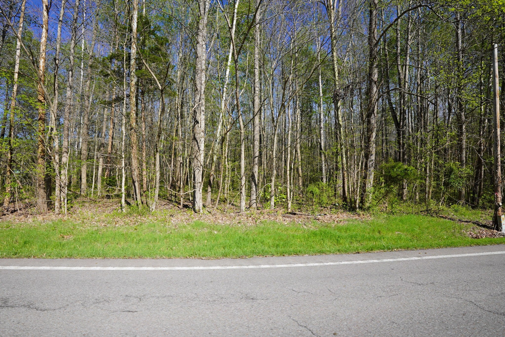 4149 Hwy 49