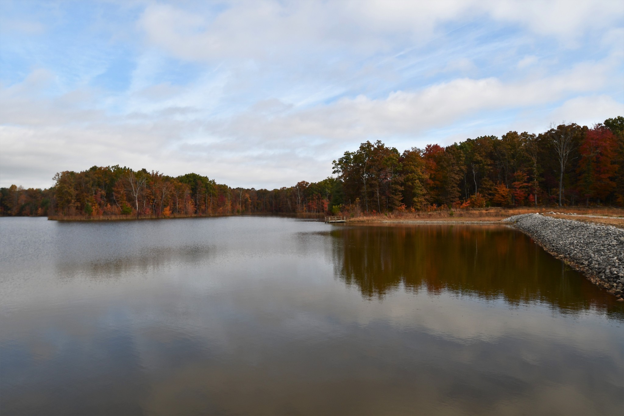 102 Swimming Deer Lot 14B