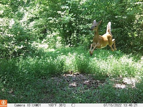 0 Herman Adams Rd Cumberland City TN 37050