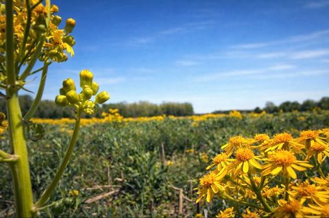 0 Valley Rd Lawrenceburg TN 38464