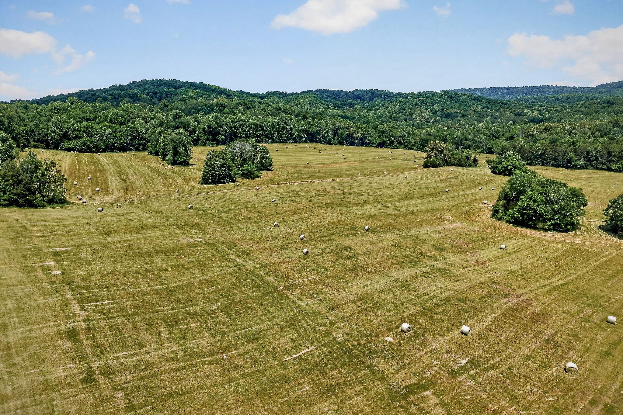 1372 Plum Creek Rd