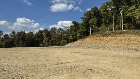 Photo of 337 Carellton Dr, Gallatin, TN 37066 (MLS # 2996682)