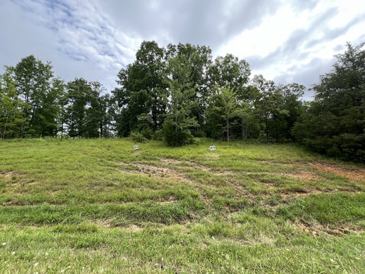 STATE HIGHWAY 7, SANTA FE, TN 38482 - Image 8ec7499feb3d2e620861237b5a4aa9f7/571580168