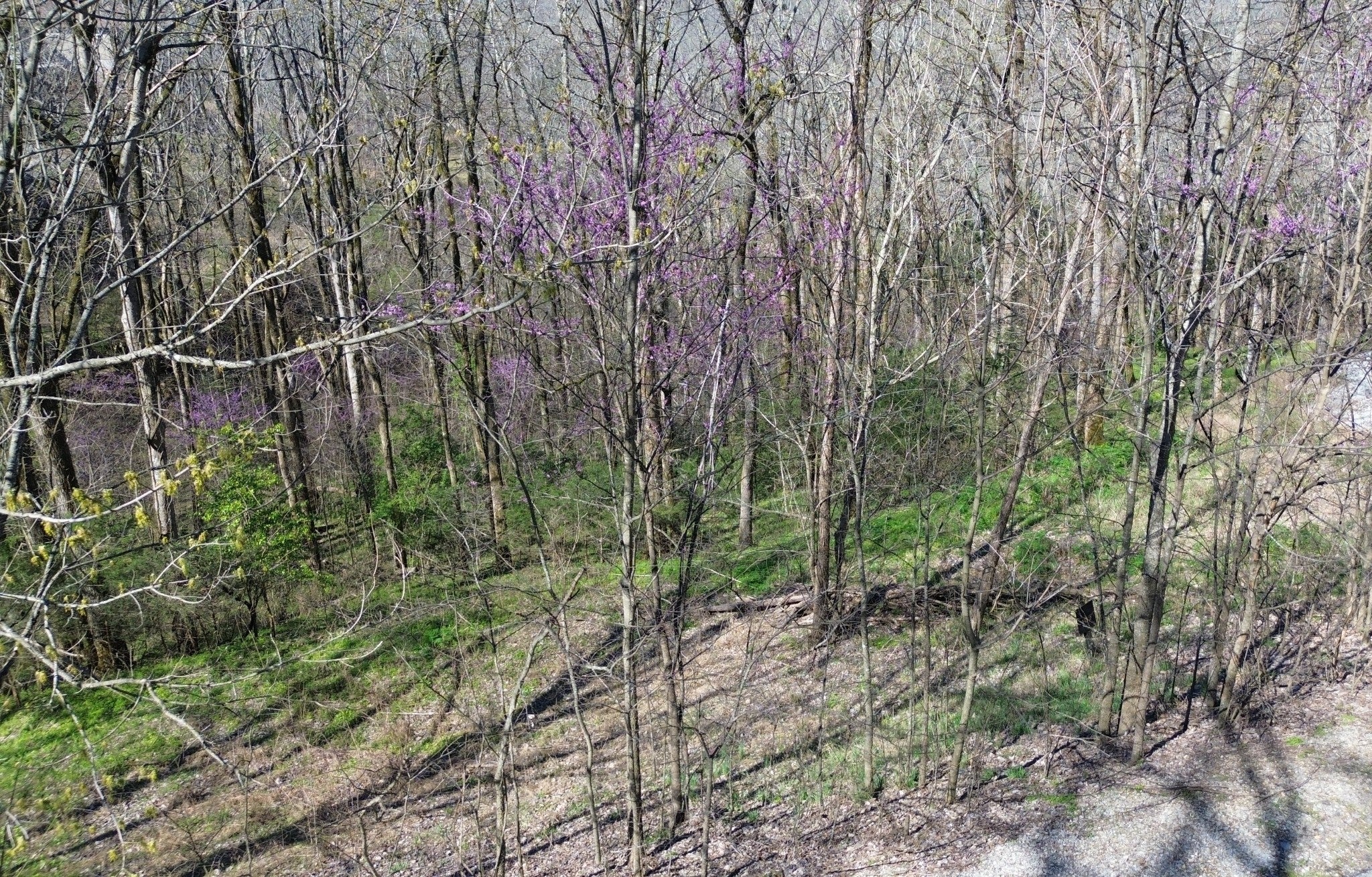 0 Wilson Cir