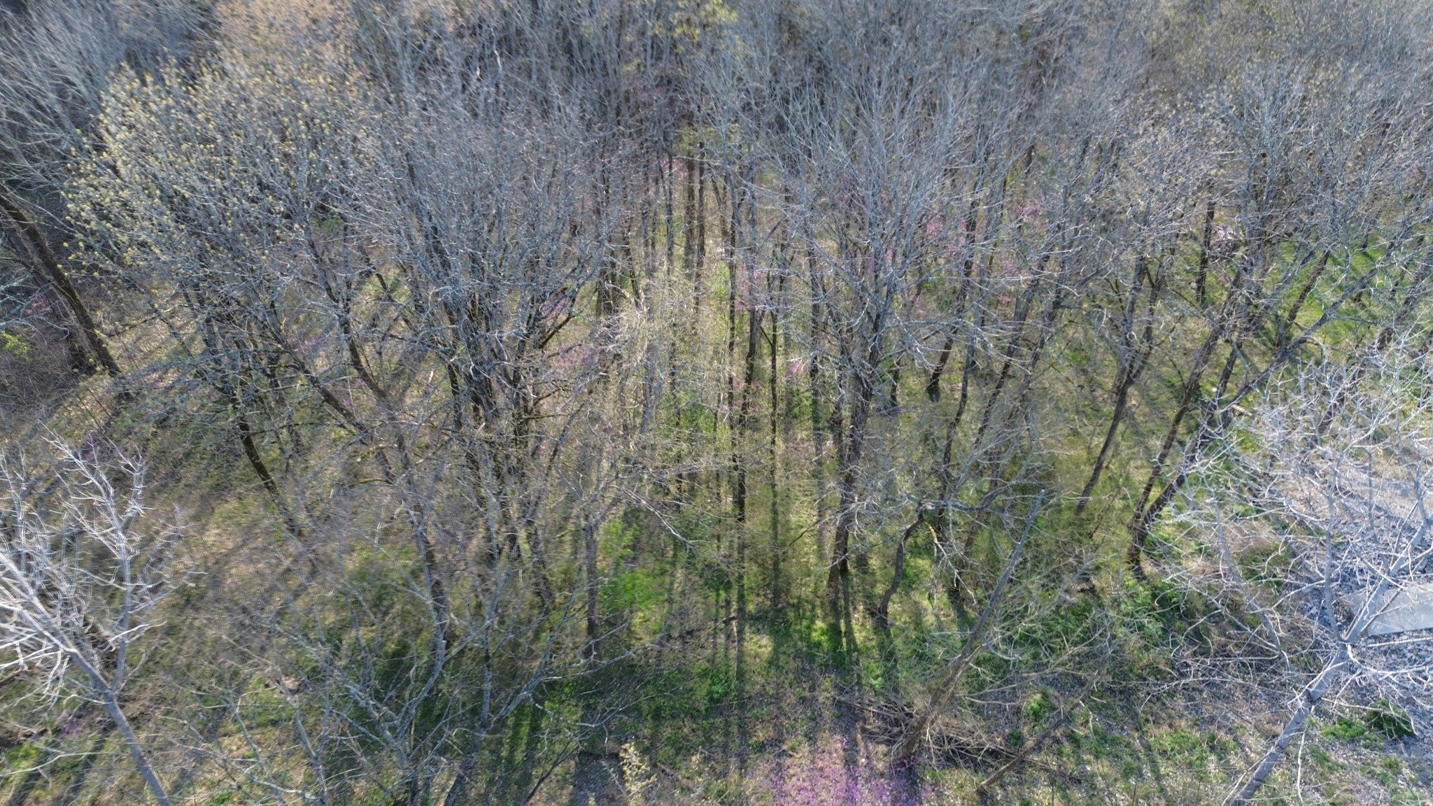 0 Wilson Cir