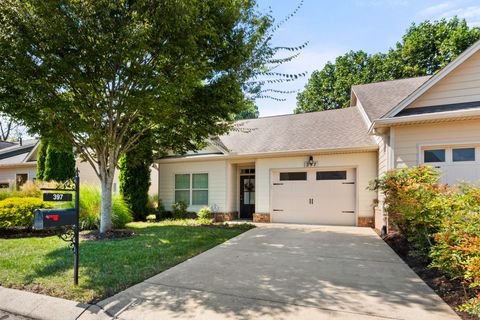 397 Bruce Dr Spring Hill TN 37174