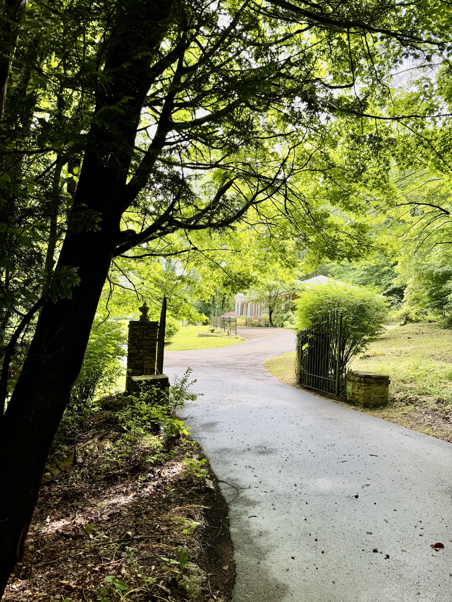 230 Raven Bluff Rd