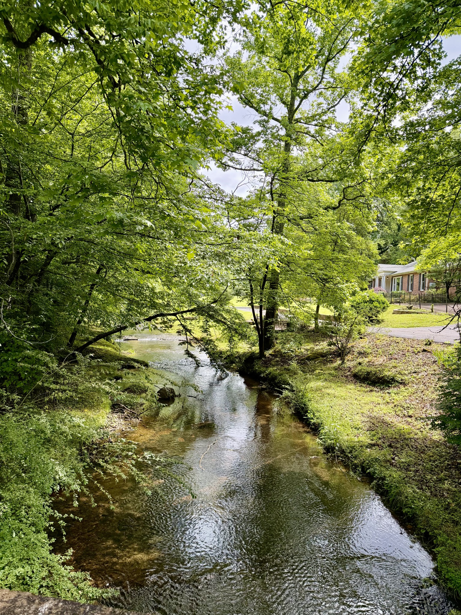 230 Raven Bluff Rd