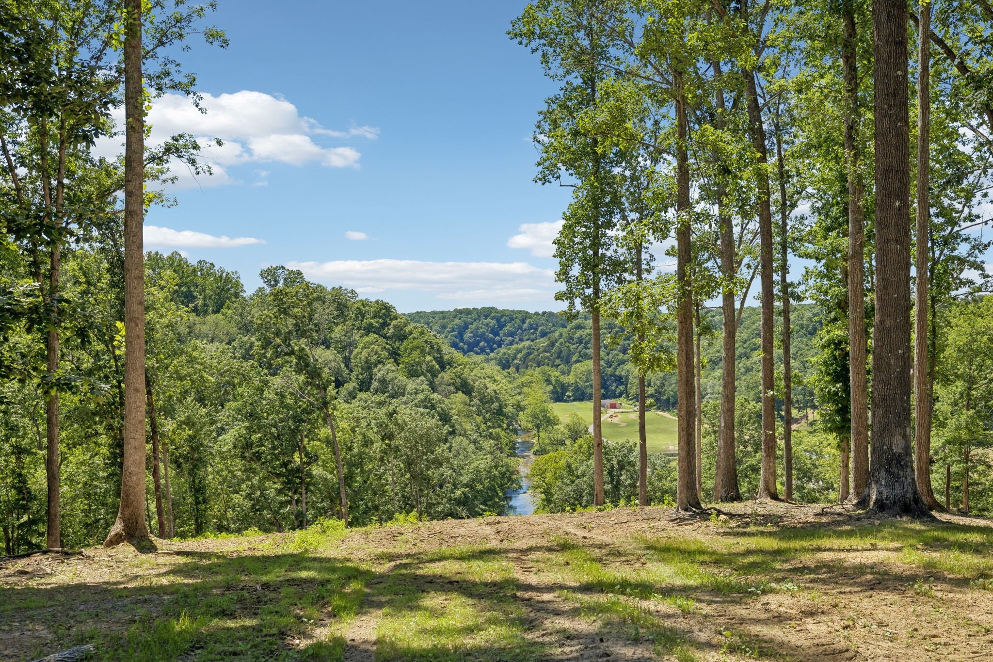 0-bed lot for sale in Joelton, TN 37080, 0 Axis Ridge 0 Axis Ridge, Joelton TN 37080 0-bed lot, photo 3 of 19