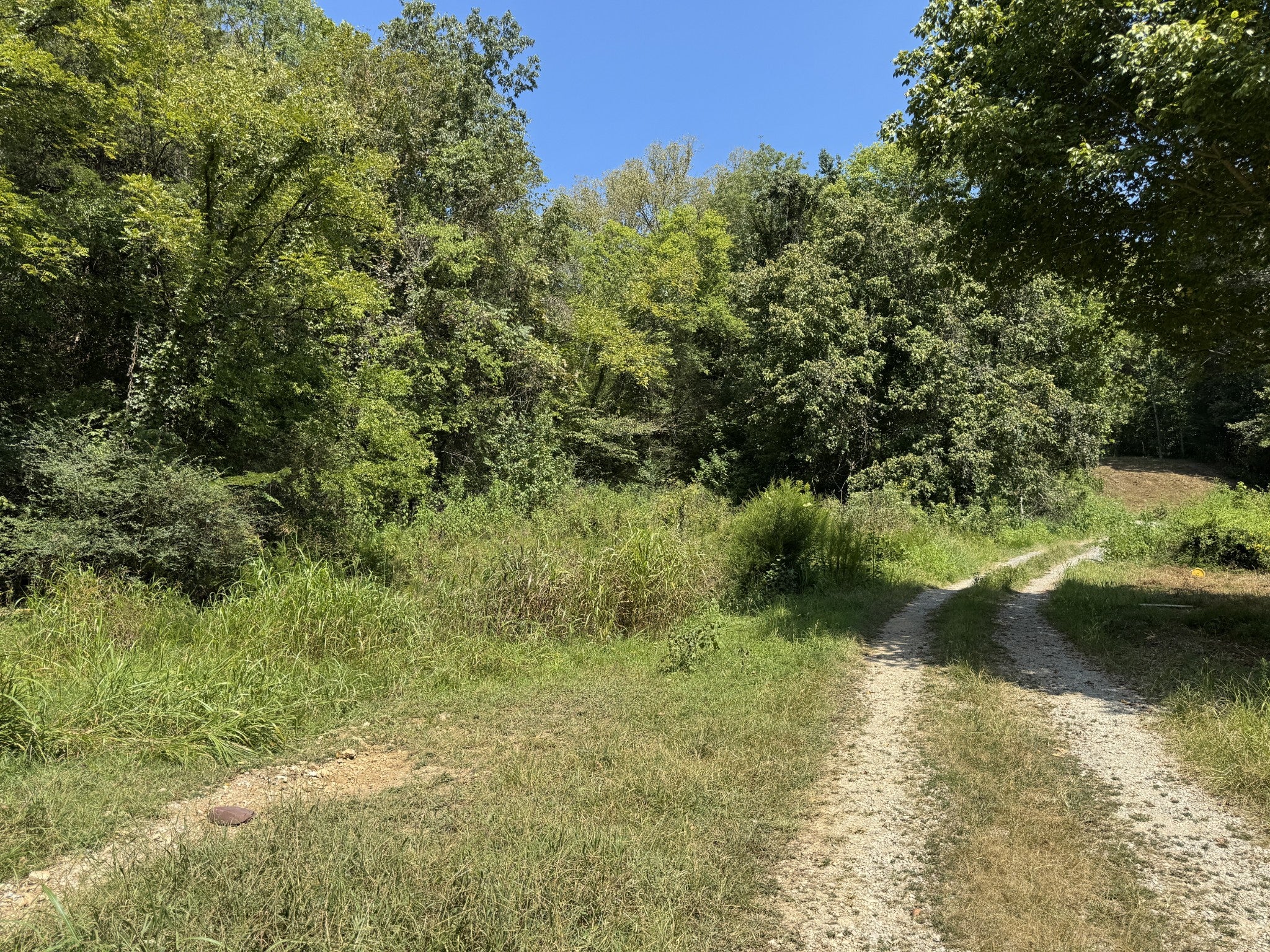 375 Watts Hollow Rd