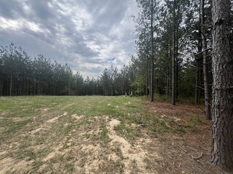 Photo of 36 Pafford Lane, Erin, TN 37061 (MLS # 3173073)