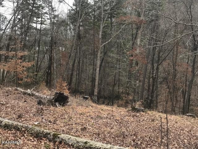 0 Sawmill Cove