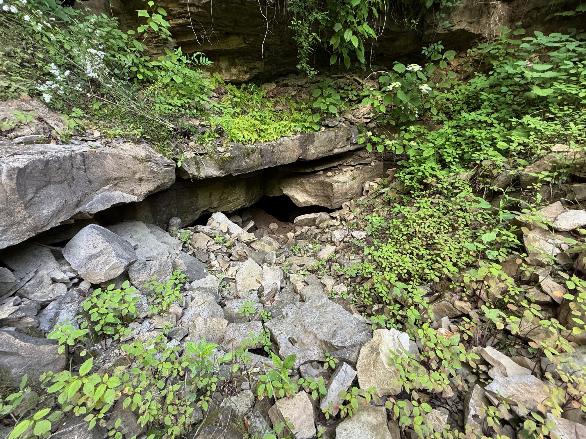 0 Cane Creek Road