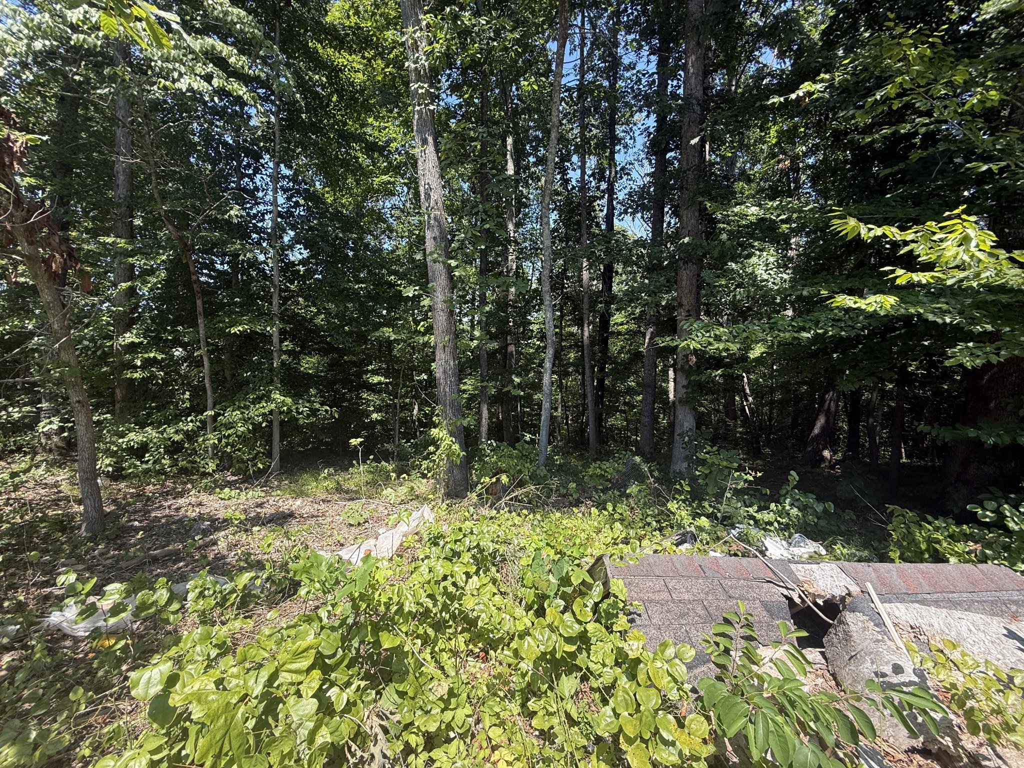 0 Trailwood Ct