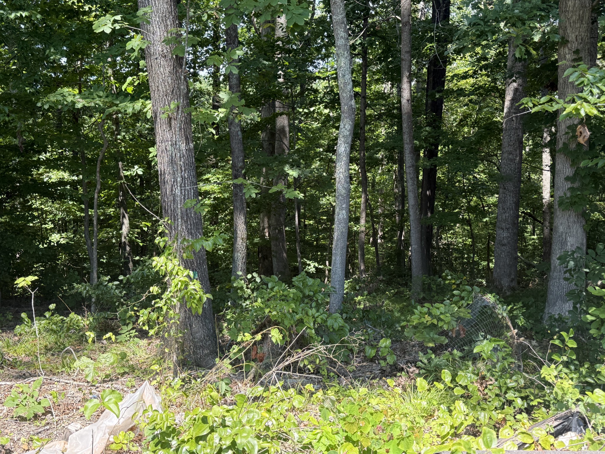 0 Trailwood Ct