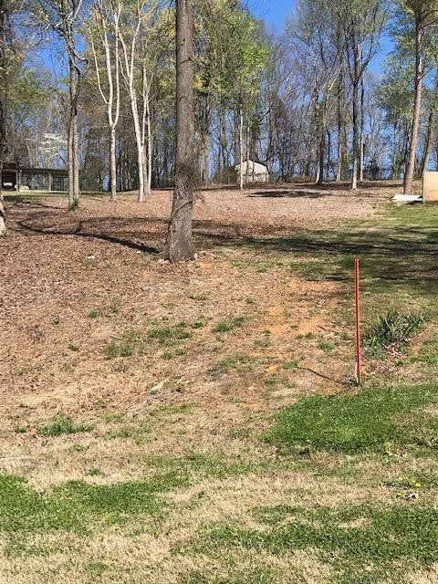 6 Piney View Drive