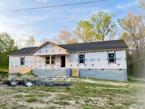 Photo of 25 Worley Ln, Estill Springs, TN 37330 (MLS # 3164971)