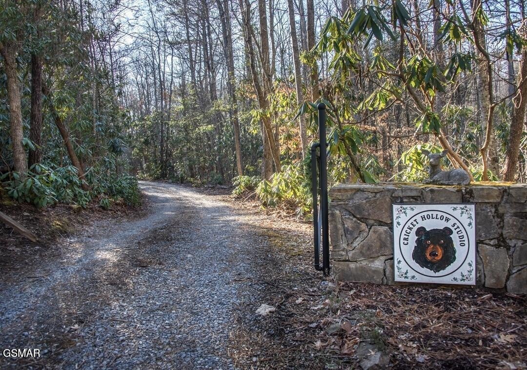 125 Cricket Hollow Way