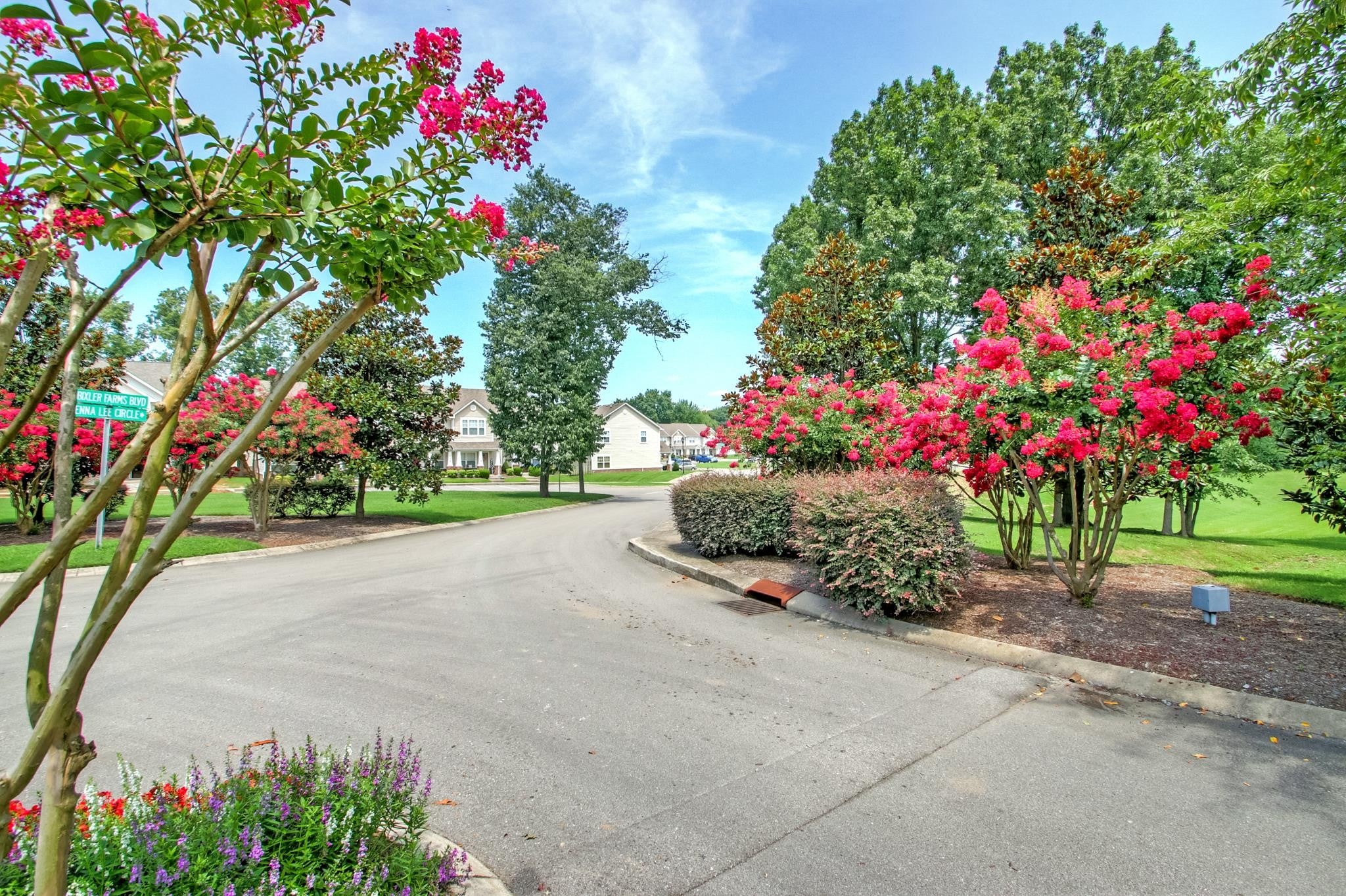 256 Jenna Lee Cir