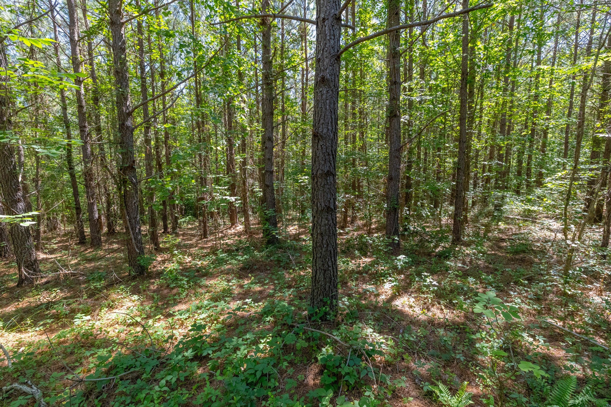 0 White Oak Rd