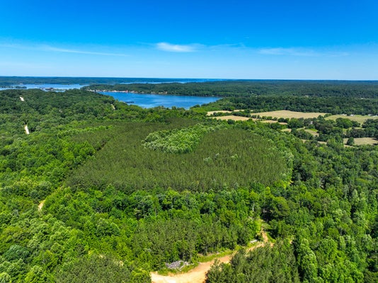 0 WHITE OAK RD, STEWART, TN 37175 - Image 8fb2c0e44e25c935352d9d3d3c8cdae4/3703193890