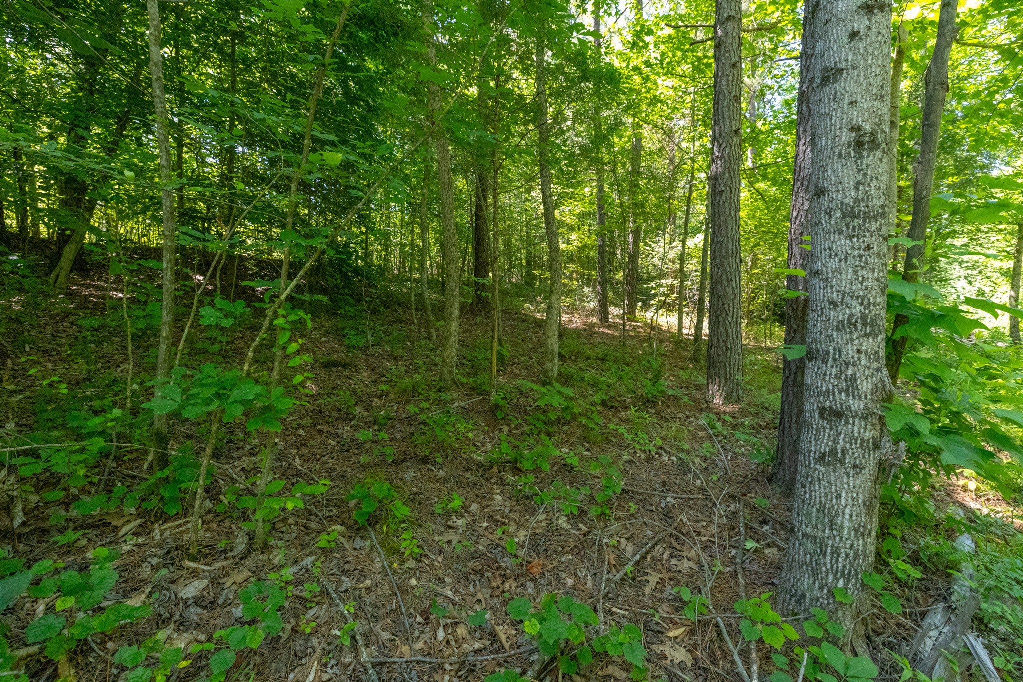 0 White Oak Rd