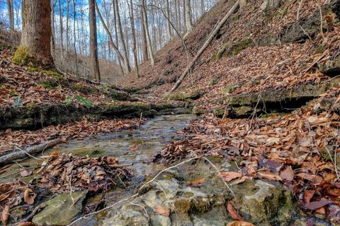 0 Hutchins Bend Rd Sparta TN 38583